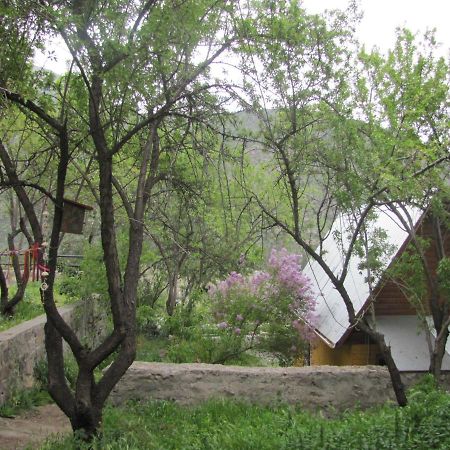 Vila Refugio Coyoacan Guayacan  Exteriér fotografie